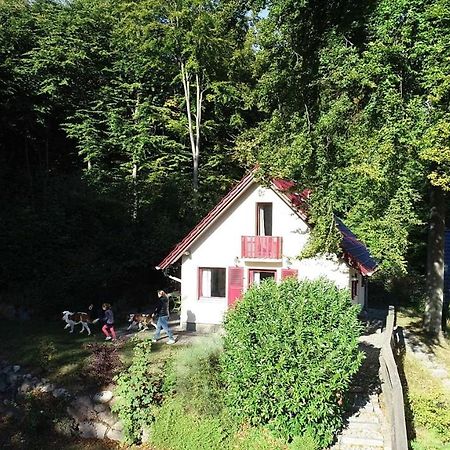 Вилла Ferienhaus Rotkaeppchen Зеллин Экстерьер фото